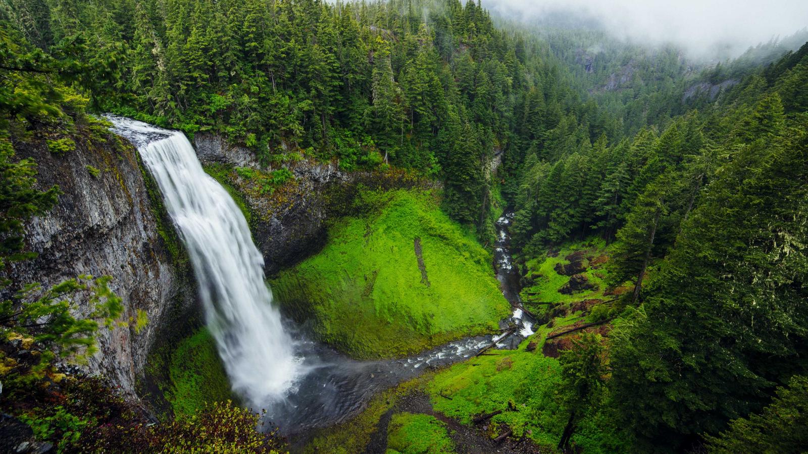 A waterfall cascading through a lush green forest