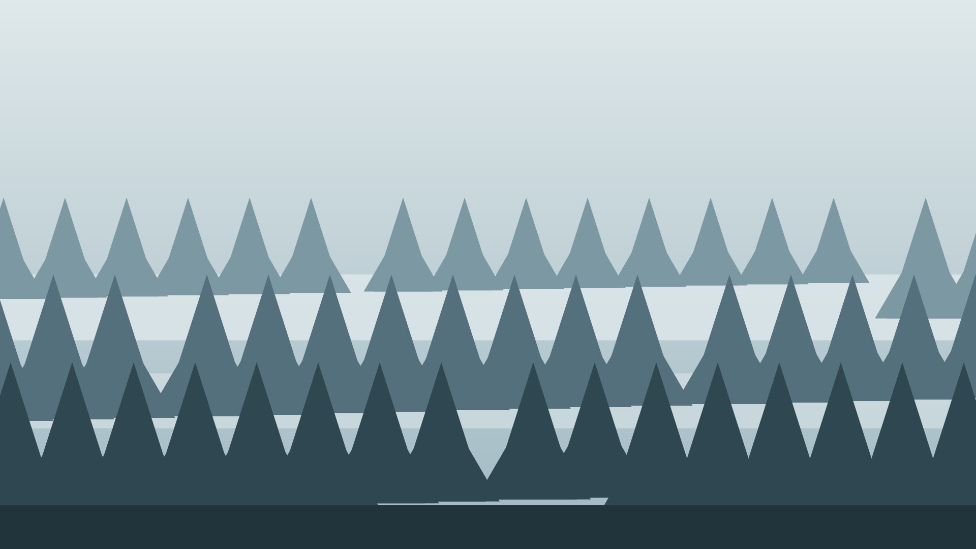 Ranks of misty pine trees fading into fog